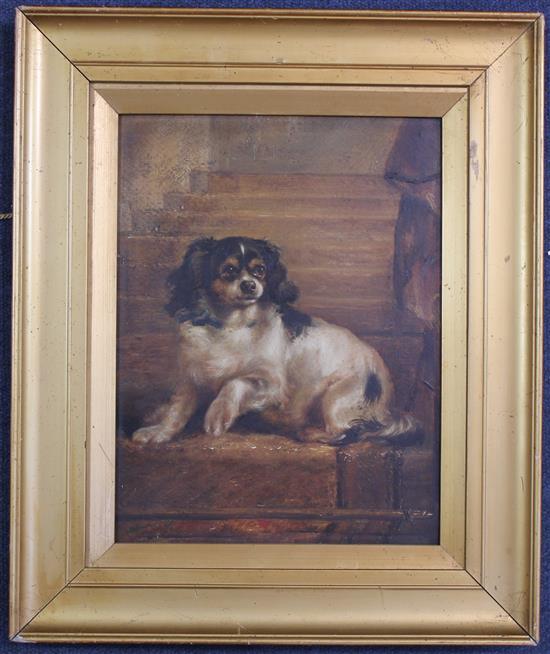 Attributed to John Arnold Wheeler Portrait of a King Charles Spaniel, 12 x 9in.